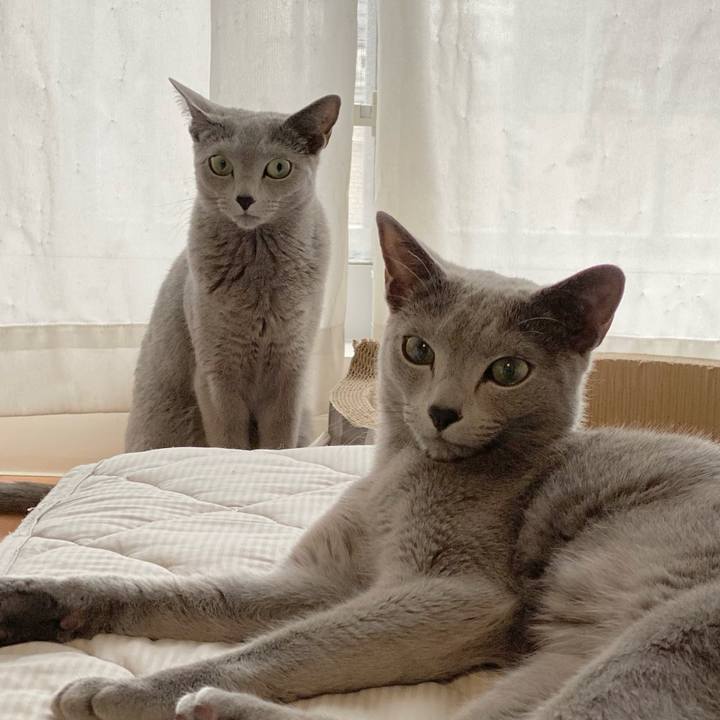 6717b5f4 3931 4ad8 a398 c23aeeef703d 1653106996585