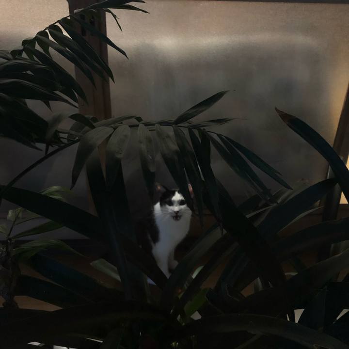 6717d8a7 0cc9 47f6 af21 28ee76411db1 1567070617558