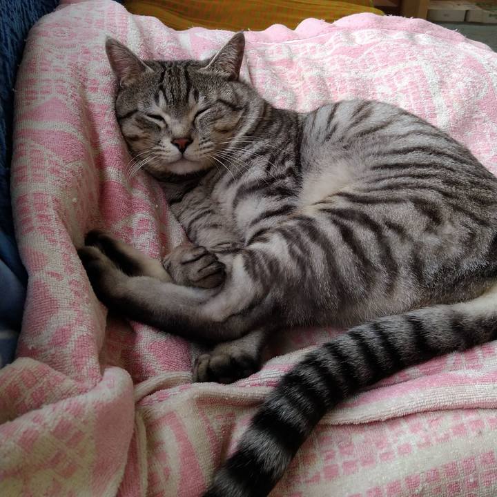 671839cc 8aab 4246 af1d a52ab763015e 1674303864061