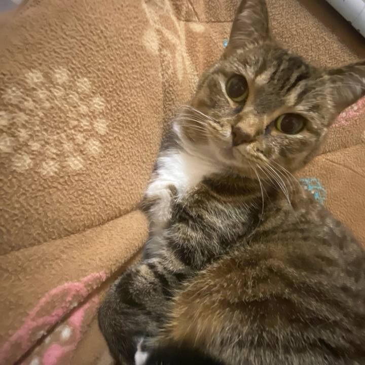 67186528 c4d7 4c80 ab4c 5fe8a6a17d03 1668716482357