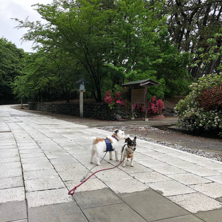 6718a291 aa53 4306 acdf 3cf51fe821a3 1528763283199