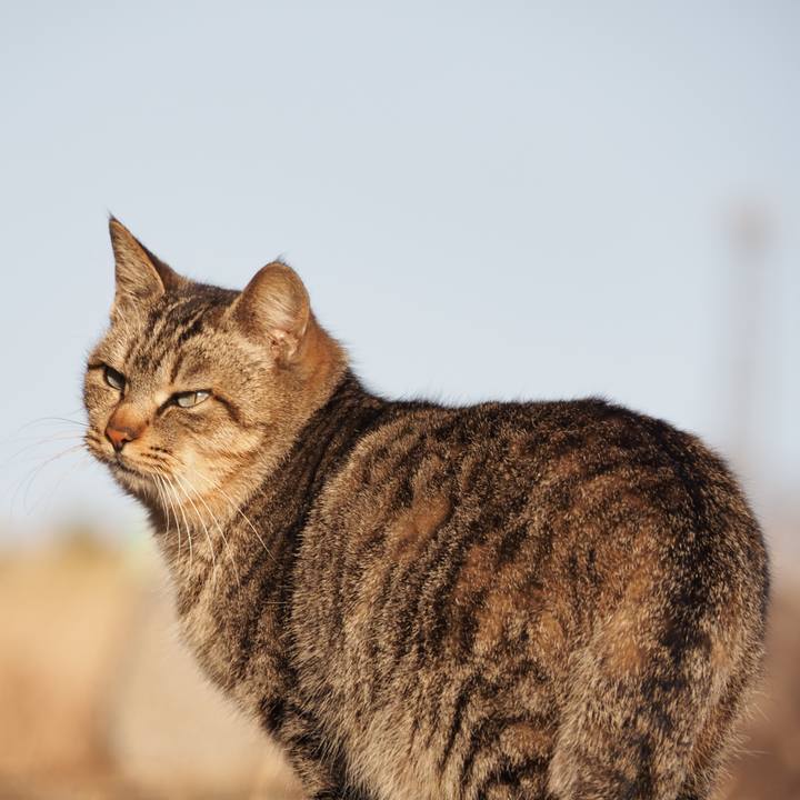 6718e3f3 7229 44a2 8fd5 3cc1e60155f3 1612015032796