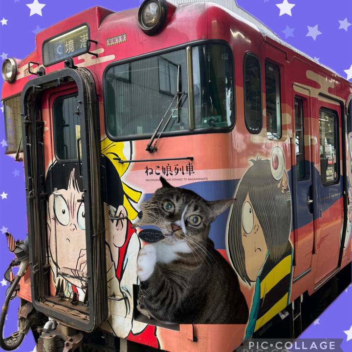 67193ead 4f0e 458e b446 45697e2b8eaa 1724590567364
