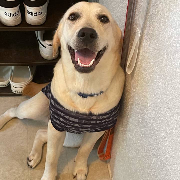 67193efb a988 45d2 921d eef58aaf9b11 1628040546933