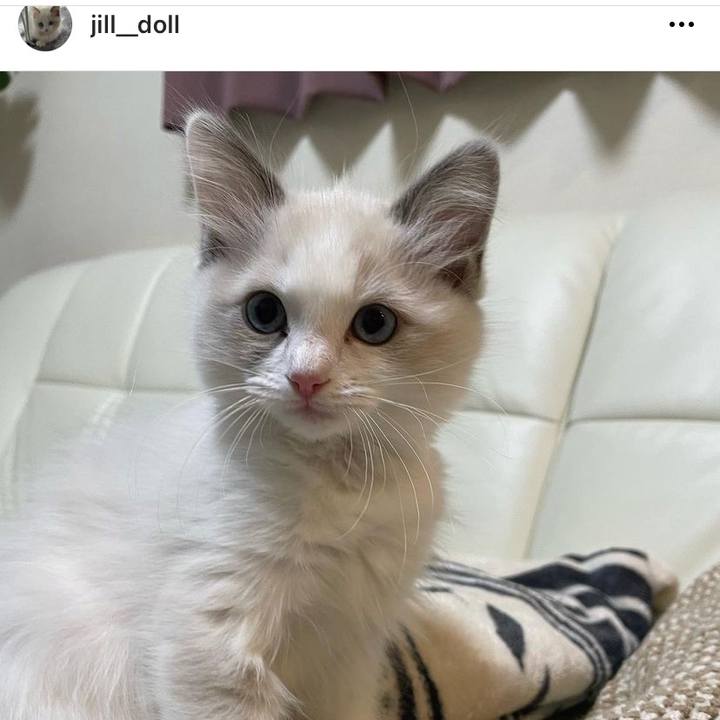 67195465 9e29 4238 99f2 22baeb87d348 1644486482927