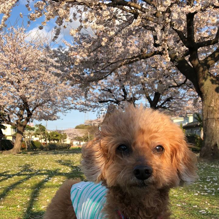 6719572d ed01 4f7c 953f b256e4e45bfc 1586418258870