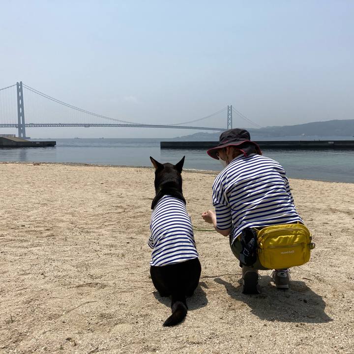 67197240 4b76 4793 aafa 34e4e02cc4ae 1620559996491