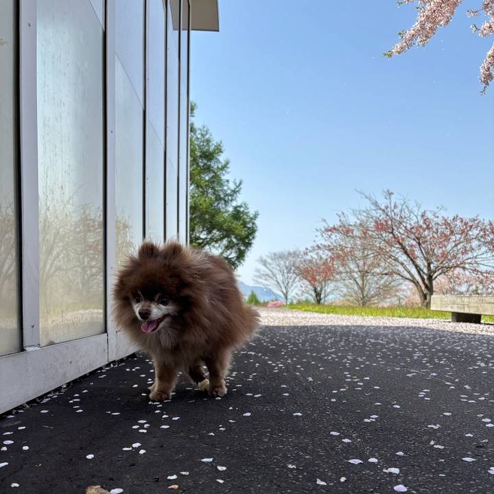 6719861e a4f3 4ab2 8880 7667a7497b05 1746778203933