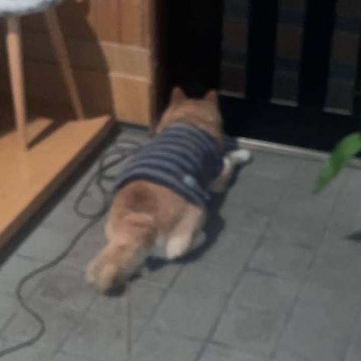 6719a894 443f 42d9 9e68 d1920296389f 1676283819389