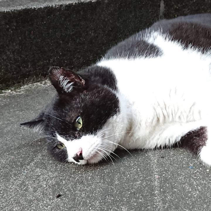 6719cfb4 81fd 4a45 be8b 2cb633e52061 1627203813355