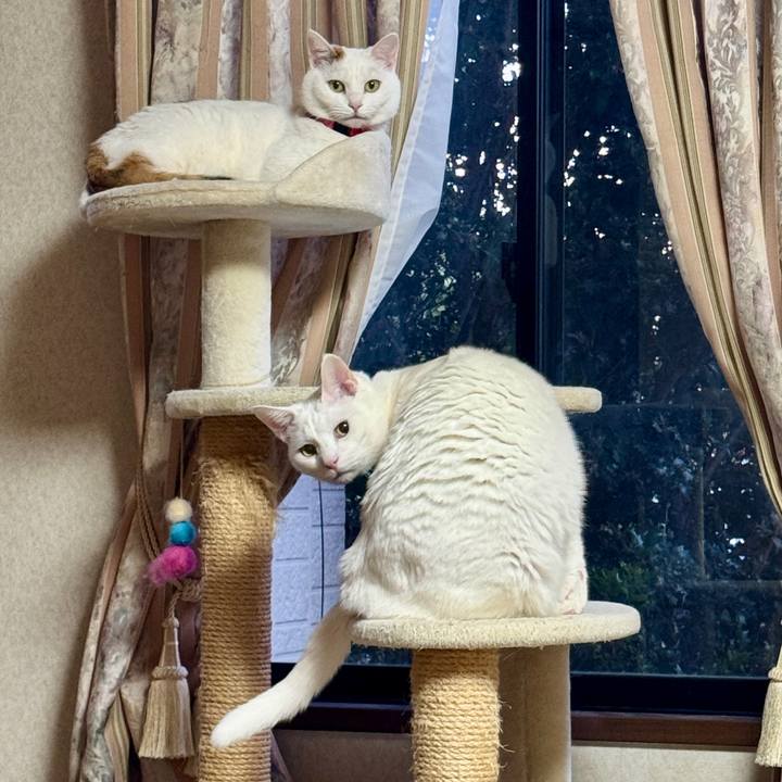 6719da89 0cd6 42ca a54f 3f2197132ec4 1767614225289