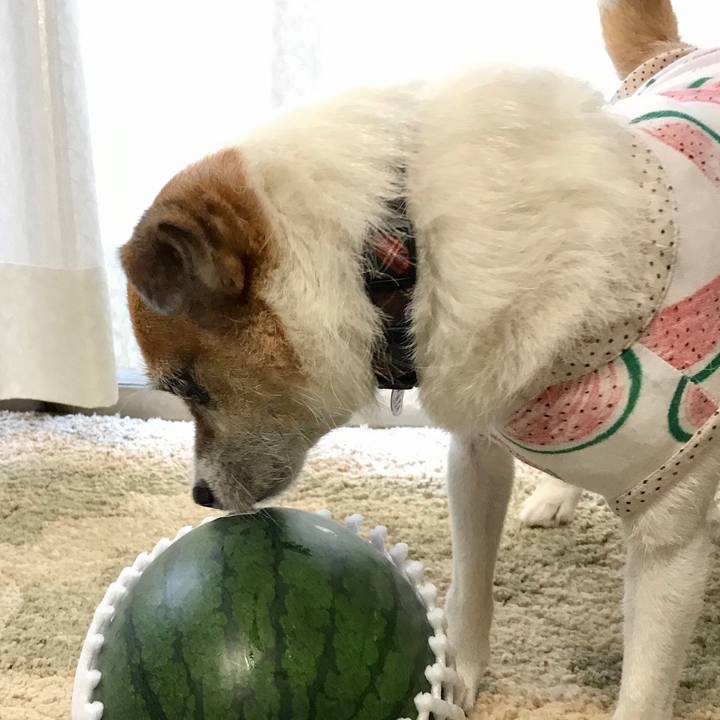 671a32e1 95ae 4027 ae27 bff22f6eb733 1597303505715