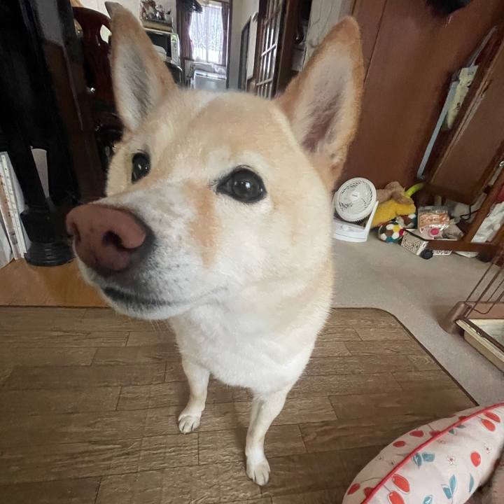 671a50f5 11b9 4e5c 98a3 ec91badc9f82 1716070448490