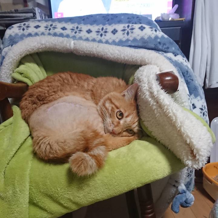 671a57ec 3190 41e0 8d6c b0b39d9735d0 1654817523703