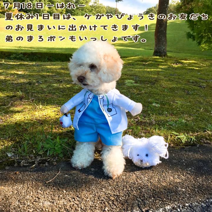 671a5c73 2676 4d77 89ff e275e41cc4e9 1531880515711