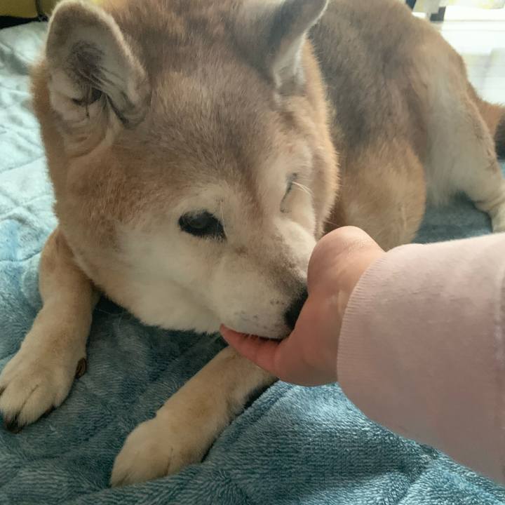 671a829c 2c2b 48dc 84b6 c805c473a34e 1667951635145