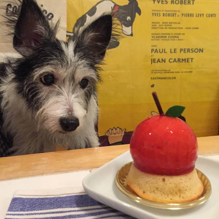 671aace0 0c80 4ce8 990c b07498bed47b 1510967577751