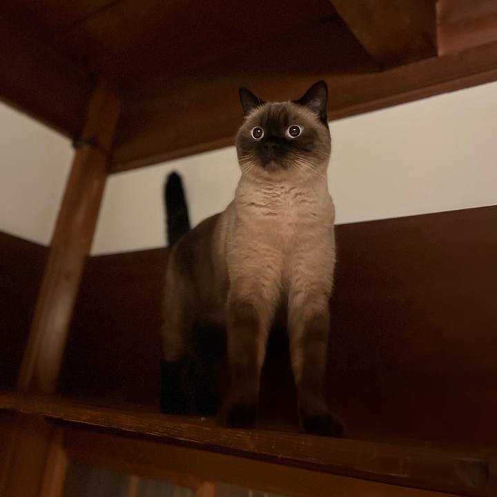 671ac7c1 5fbd 449a 8b8b a03d6d10454a 1664454268823