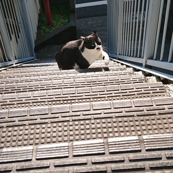 671b035a 5ad4 4bb7 95cb da00a9482c74 1586388026360