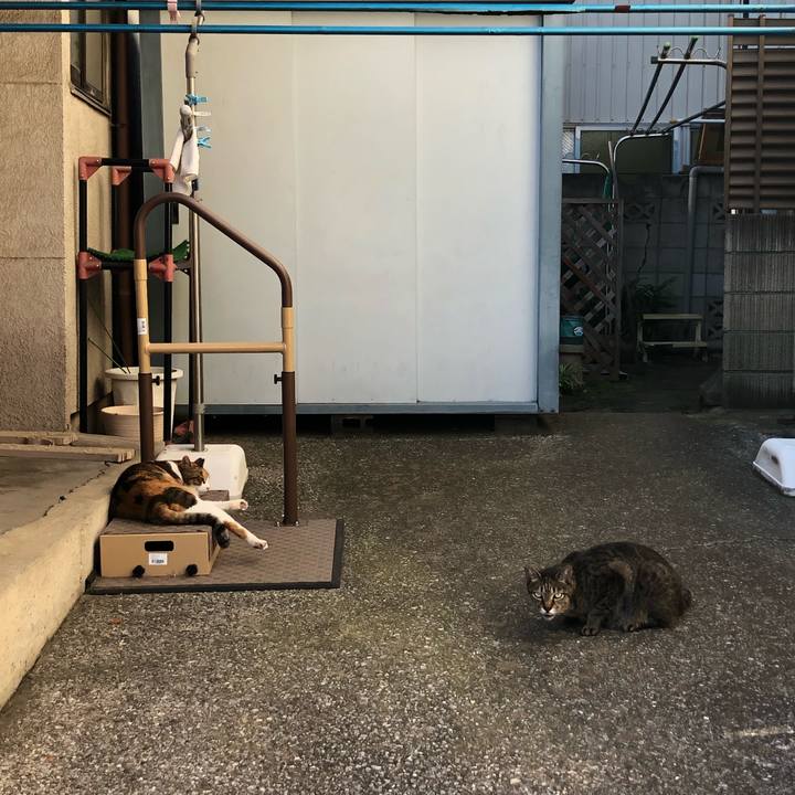 671b2d03 f24b 4e8a 8849 2b08c6353dcd 1568318615033