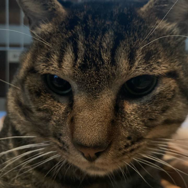 671b395d 6a1f 496f bd93 b6d8885da96b 1664371528662