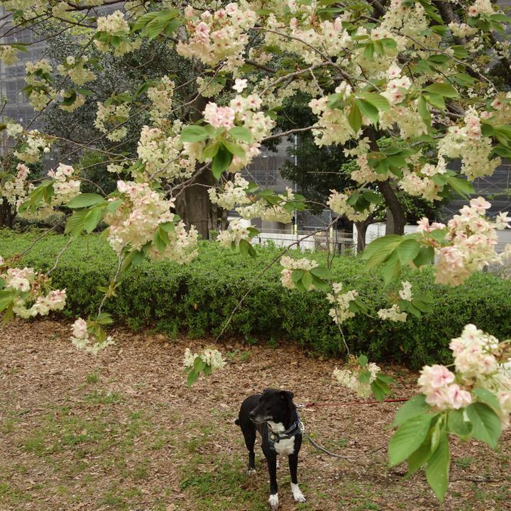 671ba6c0 f2f6 455f b80b a924c76efa6b 1713233143750