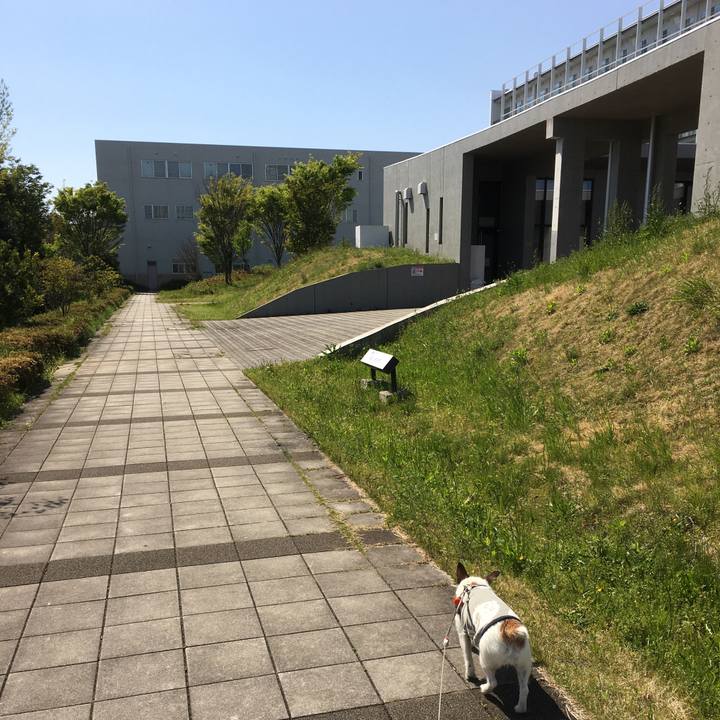 671bc5b6 9b0d 4a09 be73 88d92c9216cc 1587856408498