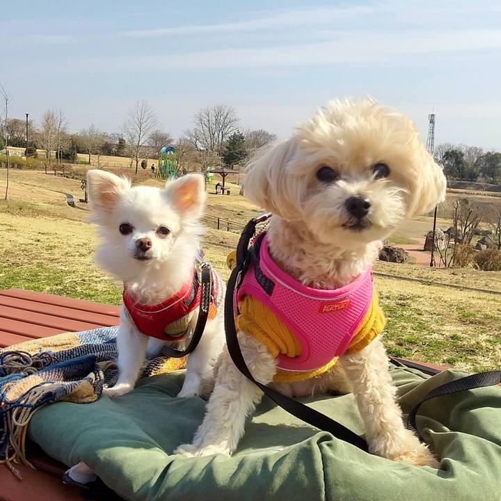 671bdc6b c007 4141 b0c2 46a6e3ae6d60 1615120661699