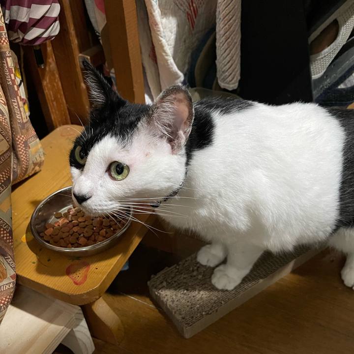 671bf917 21d7 48ab a545 2936fbd408b5 1757976500070