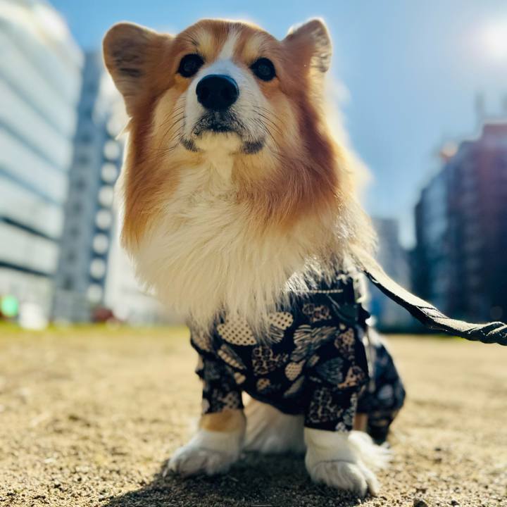 671c25e3 f92c 47fe adb7 60328c706fe5 1773197453992