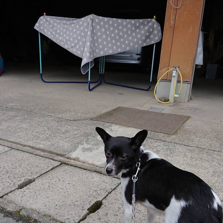 671c3732 e553 466d a3c2 d21df3022b66 1544055003592