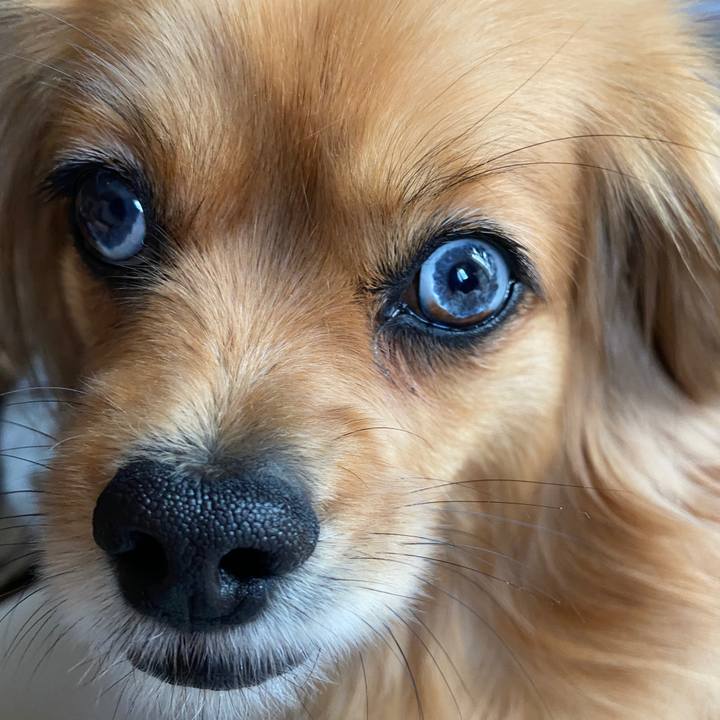 671d09f4 68bd 41f5 bd6f 8c04d0ff0642 1619826432691