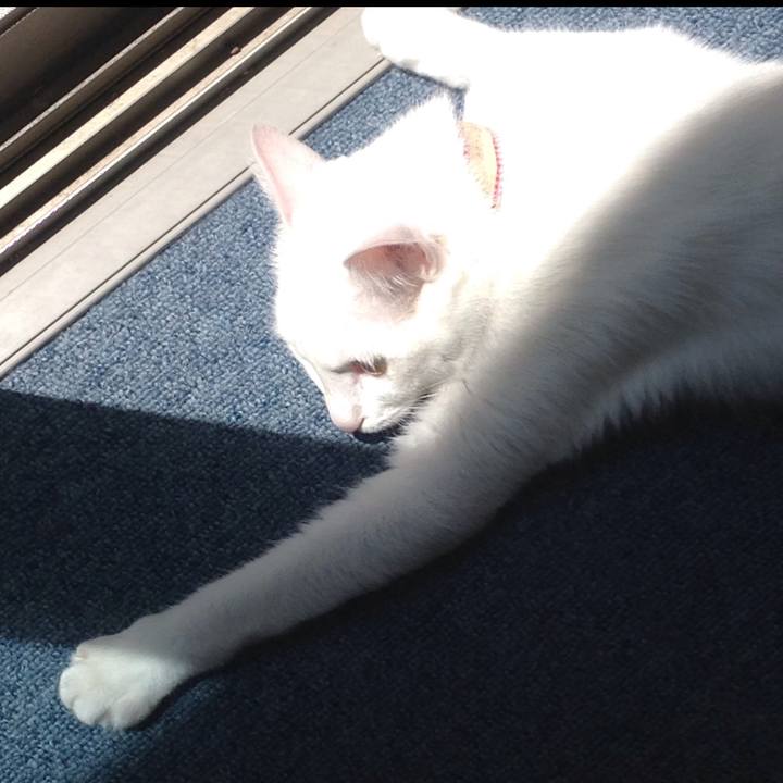 671d234c 2450 4ae4 a4ed 99a73a3a0883 1653791109144