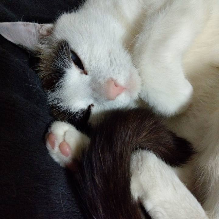 671d6942 ad2e 48fa 82eb cb6ab81a73ad 1584752811164