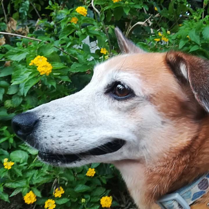 671dd19a 0062 49ae bab7 d067fbfdbfe9 1594038672792