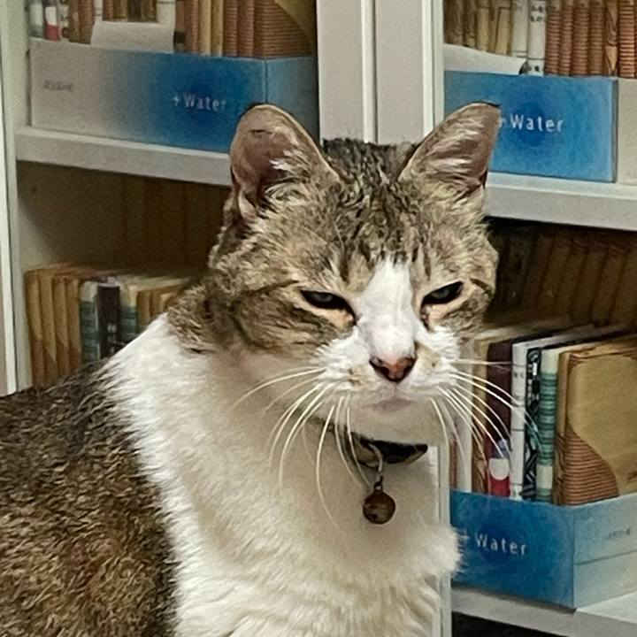 671de107 50c1 4302 a94f f6f9a5737530 1764425057411