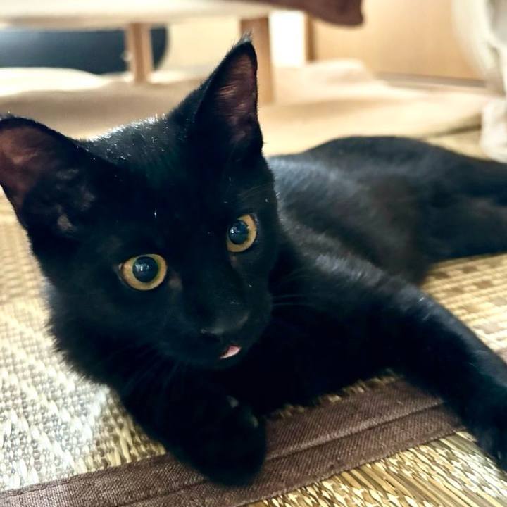 671dfd97 176e 4f70 a1e9 67f74c6288d2 1726136133003