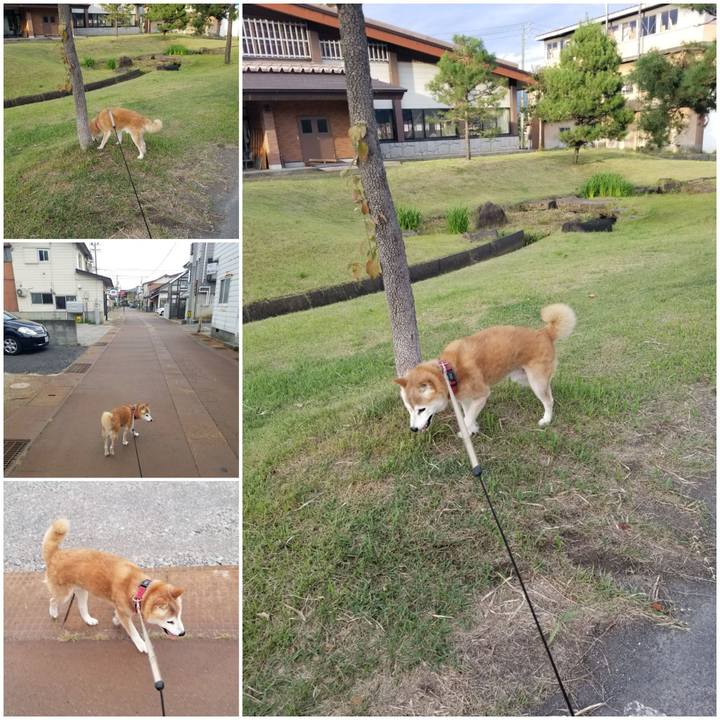 671e2270 5fad 4a9d afff 13bd49933eeb 1757234123819