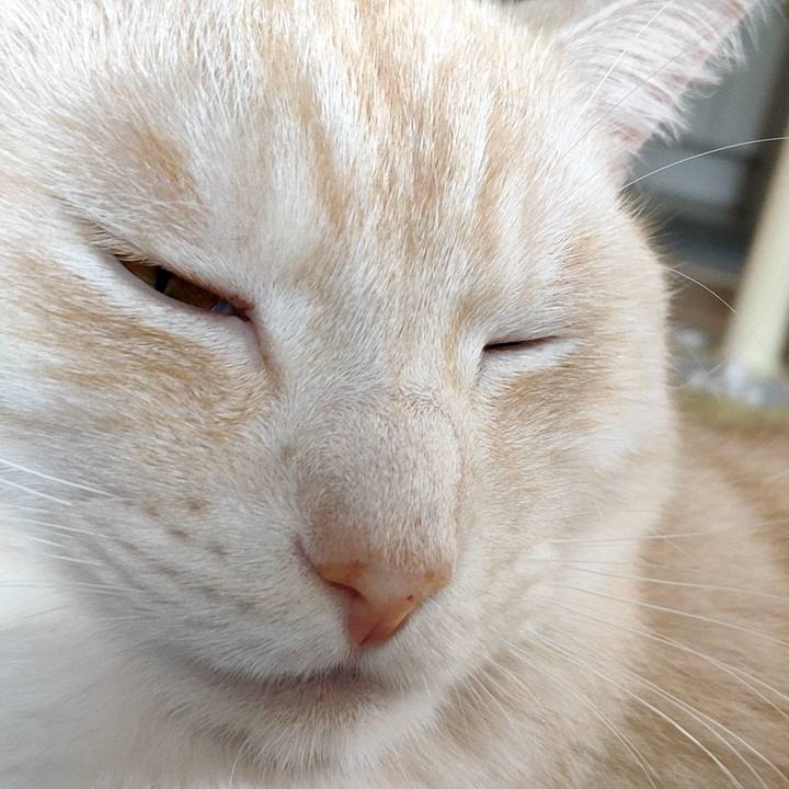 671e23a0 bf08 46b7 ae2d e439c023c507 1657258648767