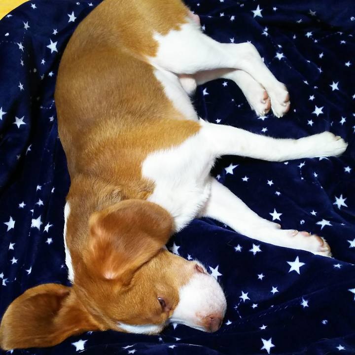 671e547b 6f20 483f a3cd f97e9d7c5a32 1552226172084