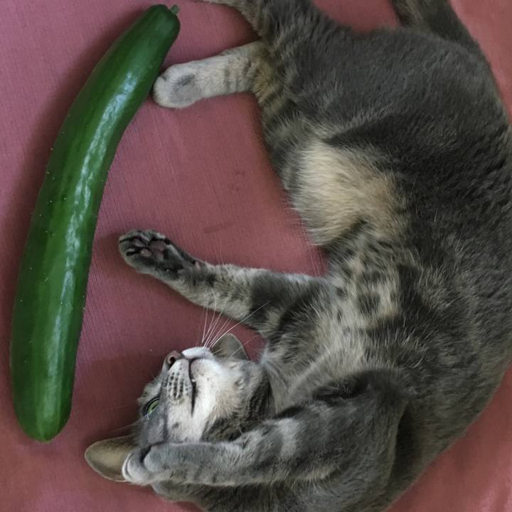 671e6d67 5bc8 4b92 91d3 7f9f65ef7889 1593659749375