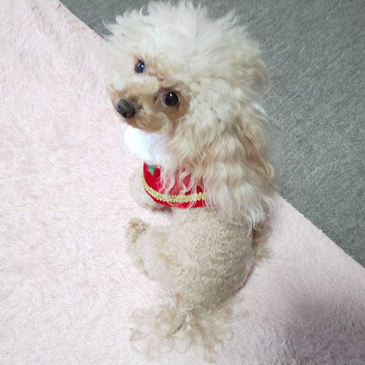 671e70b0 0c50 425e bfa7 974b83ed8e01 1576240812164