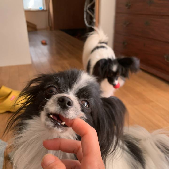 671ea1b7 c90a 454d a210 4197efb1db7d 1546398428682