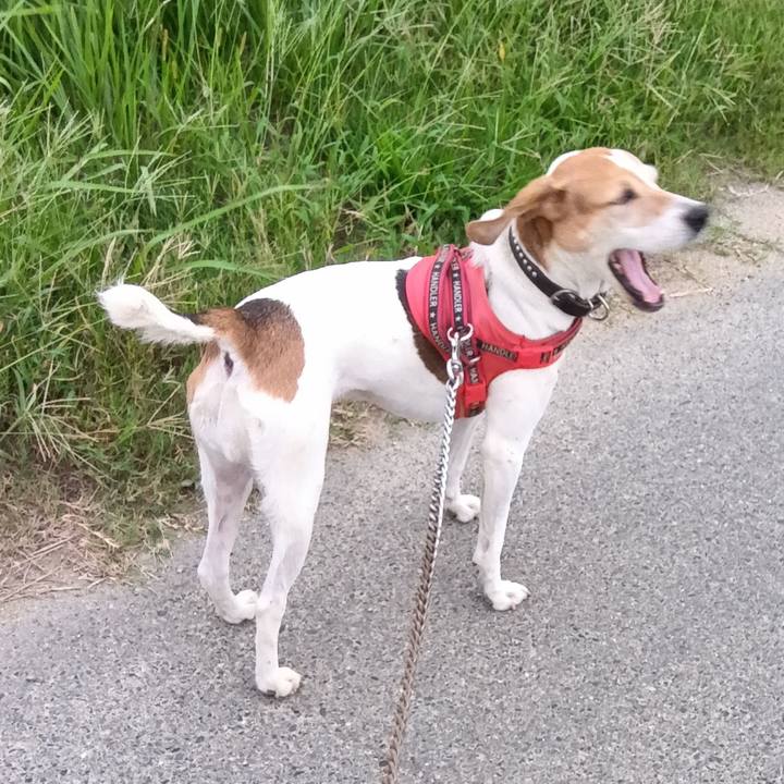 671ec11b 2867 4029 8e6a c62b0df6e7b8 1727523163644