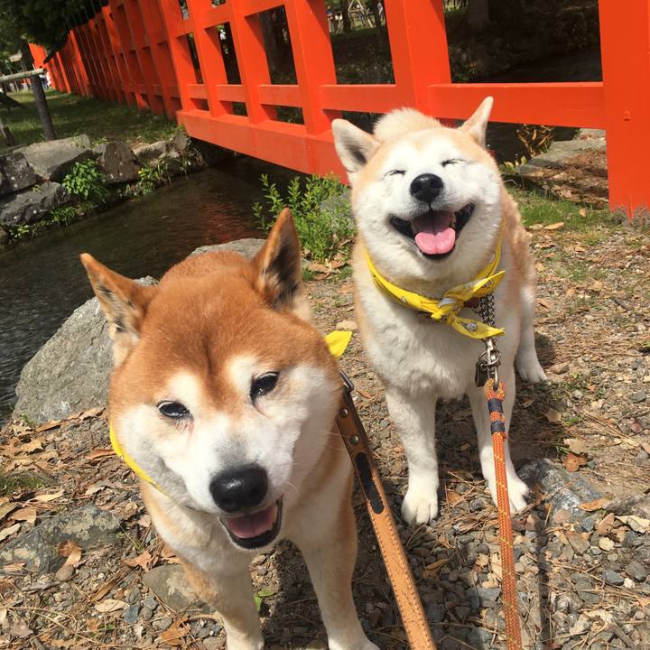 671ed60f 14cb 460b ad3e 20de0d5ce5de 1524371189863