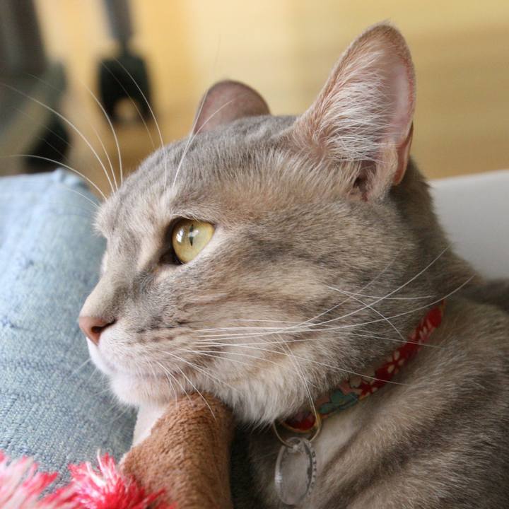 671ef79d 6173 4966 865f 74f6a1267860 1524108596458