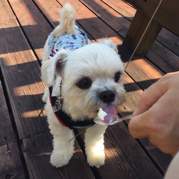 671ef975 46f0 4870 aa4a c0aa4e6dc7ca 1509451905350