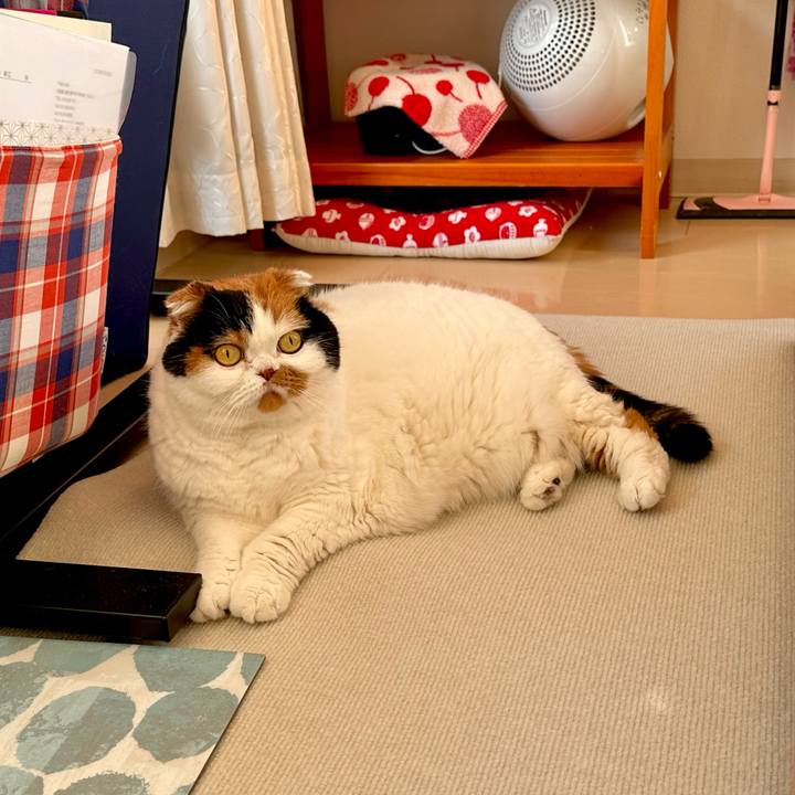 671f063c be74 40a8 a180 1908118b7bd3 1705448414125