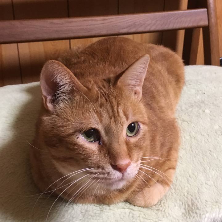 671f34c4 c8df 4d00 883e addee33ee5cf 1544348931563