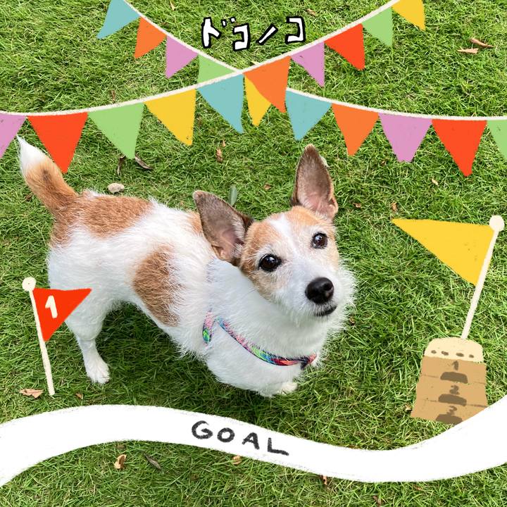 671f4970 f74d 4c2b 8ab9 52c24f8a01f8 1729120813654